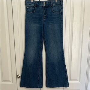 Anthropologie Pilcro Dark Blue Flare Jeans 30